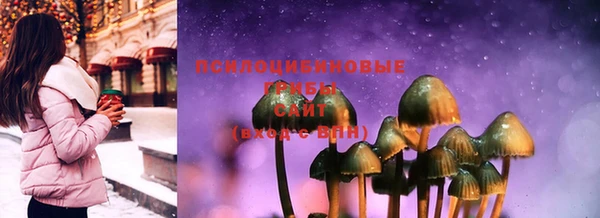 не бодяженный Осинники