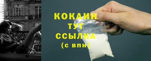 тгк Няндома