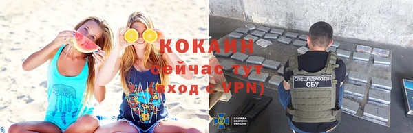 тгк Няндома