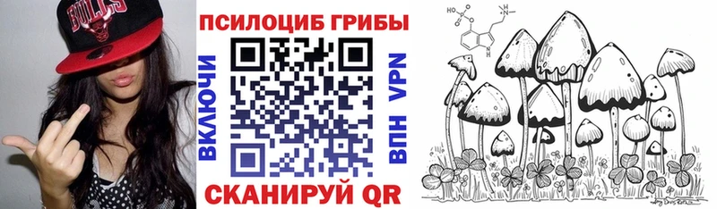 закладки  mega маркетплейс  Псилоцибиновые грибы GOLDEN TEACHER  Певек 